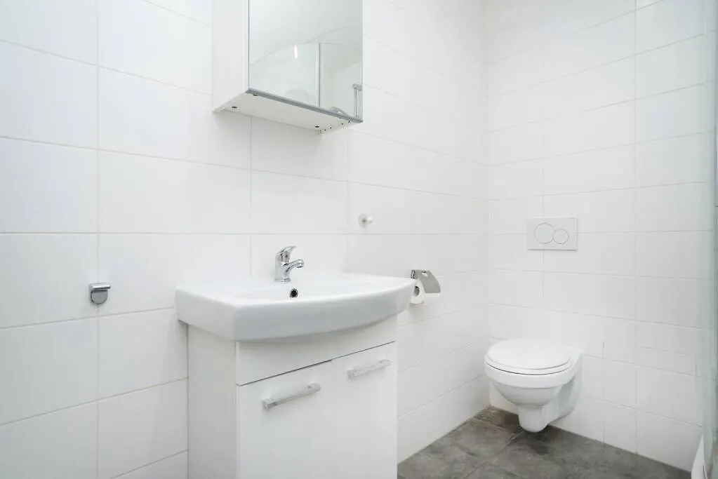 Bright, Spacious Apartment In The Historic Centre Прага